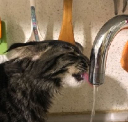 Иван Петров